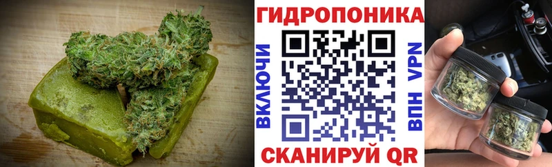 Canna-Cookies конопля  закладка  Луза 