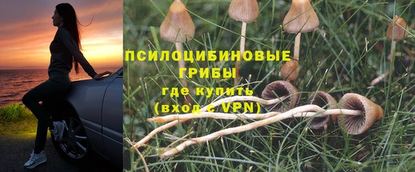 круглые Арсеньев