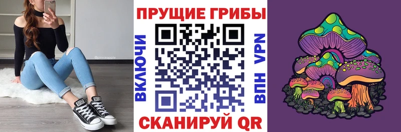МЕГА ссылка  Луза  Галлюциногенные грибы Psilocybe 